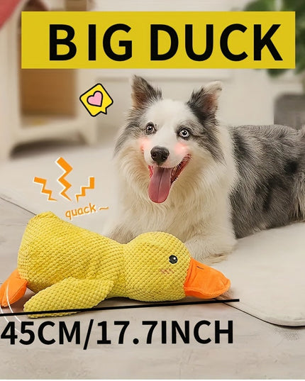 outfany Calm Duck - Libiyi