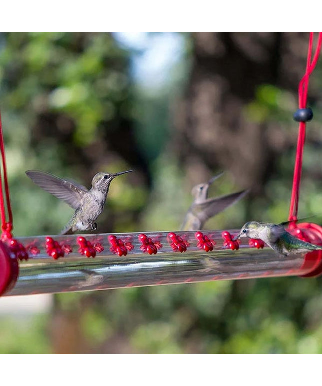 Flower Bar Hummingbird Feeder - Libiyi