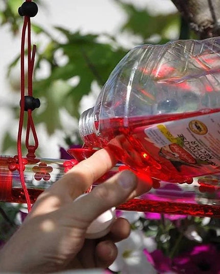 Flower Bar Hummingbird Feeder - Libiyi