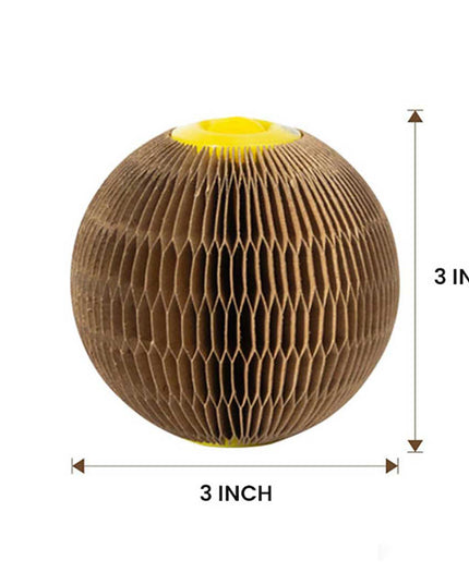 Libiyi Magic Organ Cat Scratch Board. - Libiyi