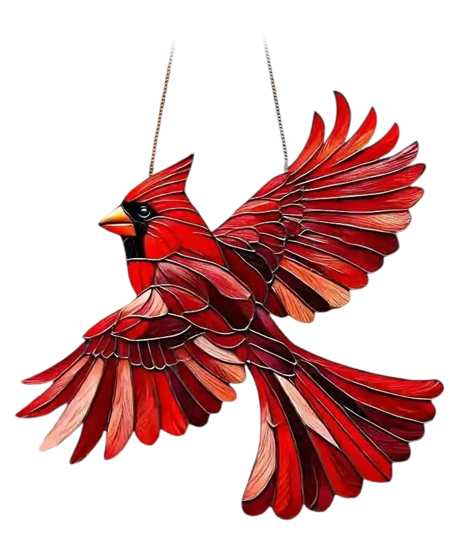 Outfany Spirit Birds - Libiyi