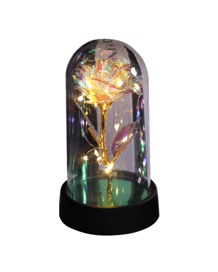 Fanyil Eternal Rose-fr - Libiyi