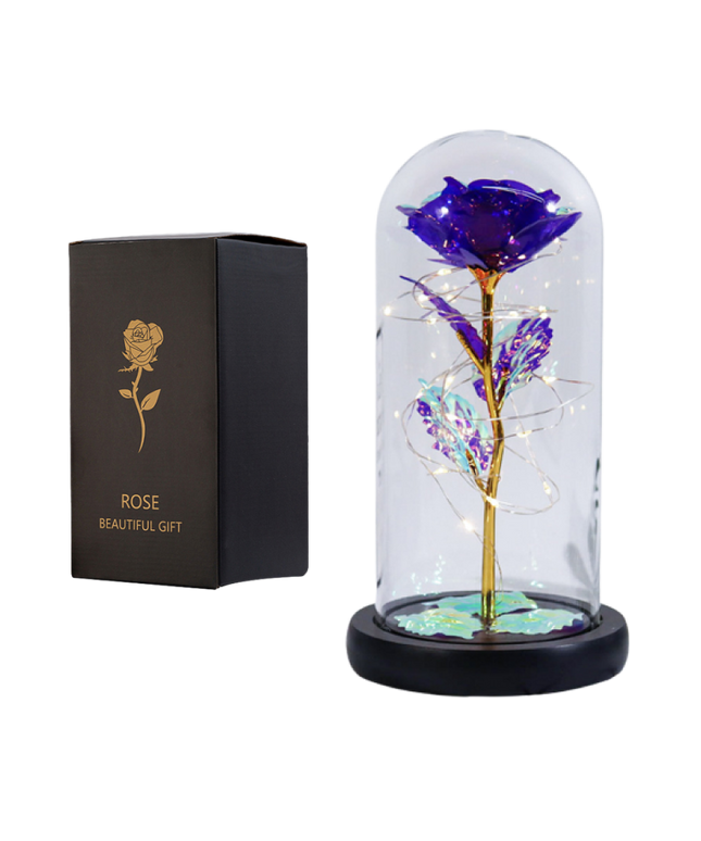 Fanyil Eternal Rose-fr - Libiyi