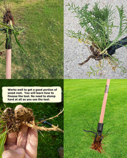 Libiyi Weed Puller - Libiyi