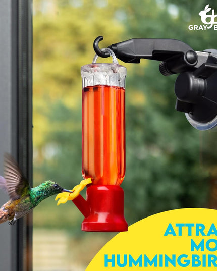 🔥Annual Offer - New Leak-Proof Design Hummingbird Feeder (4 Pack) - Libiyi