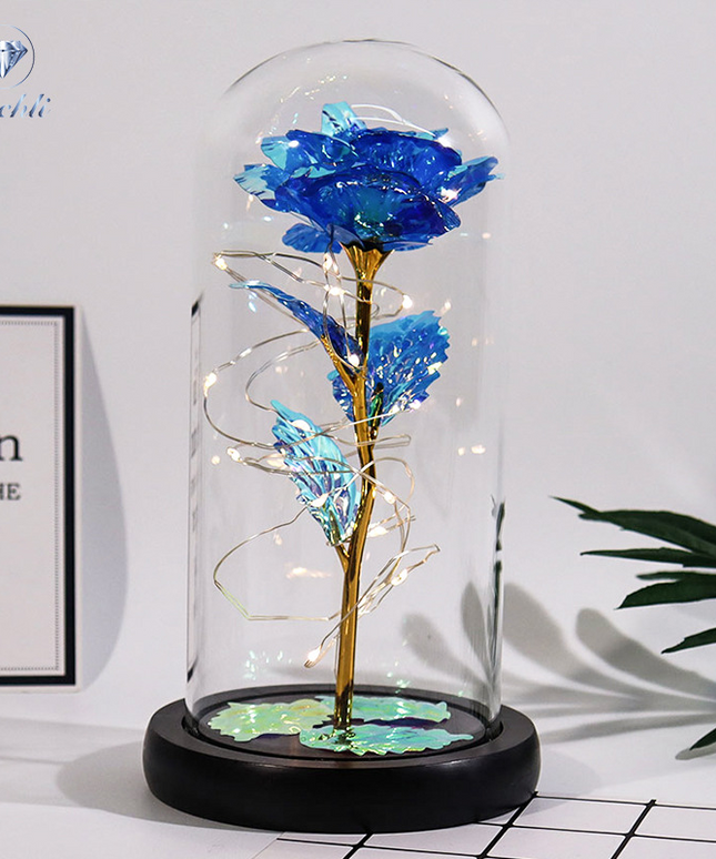 Fanyil Eternal Rose-fr - Libiyi