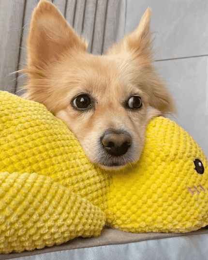 outfany Calm Duck - Libiyi