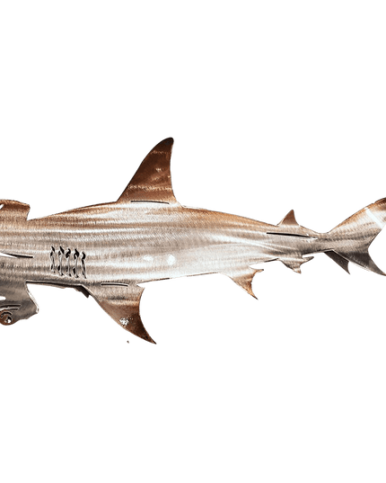 Libiyi Metal Shark Art - Libiyi