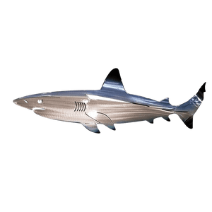 Libiyi Metal Shark Art - Libiyi