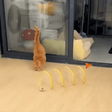 Load image into Gallery viewer, Cat Coil Spring Toy For Indoor Cats - Libiyi
