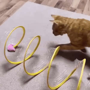 Cat Coil Spring Toy For Indoor Cats - Libiyi