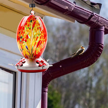 Load image into Gallery viewer, Hummingbird Feeder Hand Blown Glass