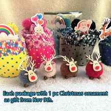Carregar imagem no visualizador da galeria, Winter Fuzzy Slipper Socks WIth Gift Box🔥Buy 5 Get FREE SHIPPING - Libiyi
