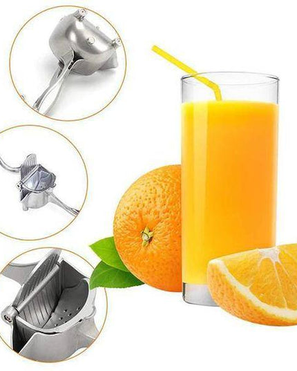 Stainless Steel Juicer - Libiyi