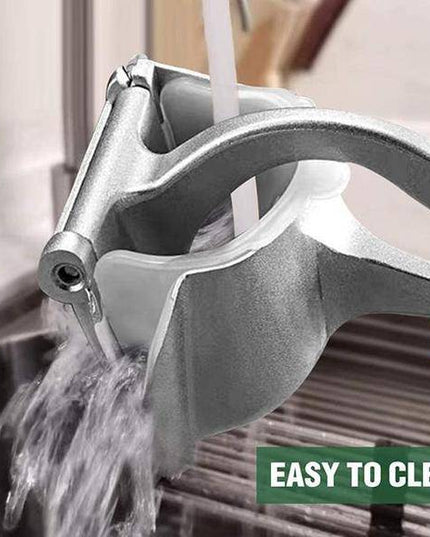 Stainless Steel Juicer - Libiyi